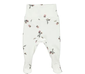 Pixa blackberry print - MarMar