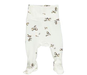 Pixa acorn print - MarMar