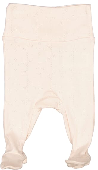 Pixa barely rose - MarMar