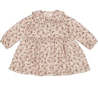 Daima climbingrose - MarMar