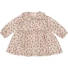 Daima climbingrose - MarMar