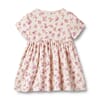 5559j-138 GOTS - Jersey Dress S-S Nova - 1478 shell flowers - Extra 1