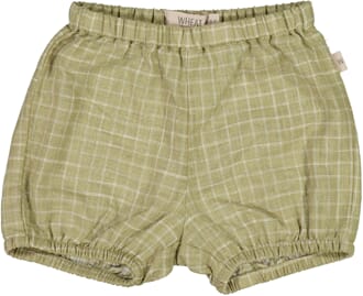 Shorts Olly green check - Wheat