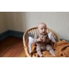 Wheat_Aw2134059