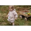 Wheat_SS20_0365