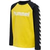 Boys T-Shirt L/S maize - Hummel