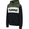 Morten Hoodie thyme - Hummel
