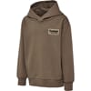 Dare Hoodie falcon - Hummel