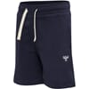 Bassim Shorts black iris - Hummel
