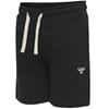 Bassim Shorts black - Hummel