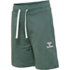 Bassim Shorts laurel wreath - Hummel