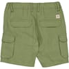 2954d-330 - 4122 sage - Extra 1