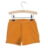 Short Billy Pumpkin Spice - Little Hedonist