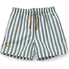 Duke board shorts stripe: peppermint/white - Liewood