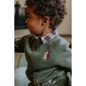 F2120-BTL_Rel F2120 - MAHDI PINGO PULLOVER - BEETLE - Extra 2.jpg