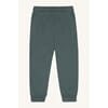 540028 - 3484 Balsam Green - Extra 2