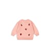 pack_ks103862-s30039_2