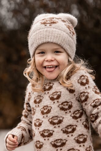 Star Beanie sandshell fossil - Fliink