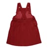 11348_AW21_DypRod_2