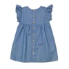 Odette-dress-denim-back