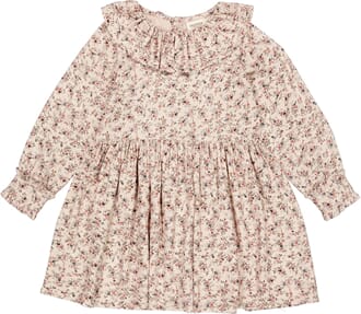 Dalba climbingrose - MarMar