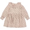 Dalba climbingrose - MarMar