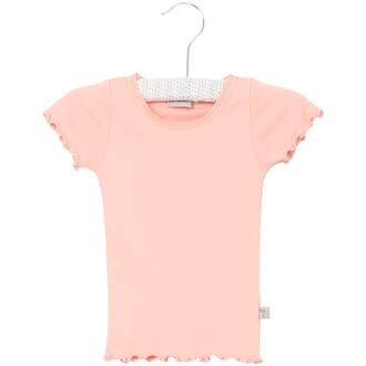 Rib T-Shirt Lace SS blossom - Wheat