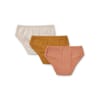 Nanette_briefs_3-pack-Underwear-LW14295-2076_Tuscany_rose_multi_mix-1_1200x1200