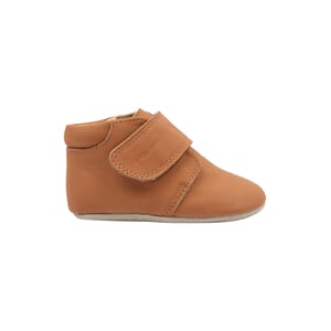 PM2020-1_Rel PM2020 - Camel - Extra 2.jpg